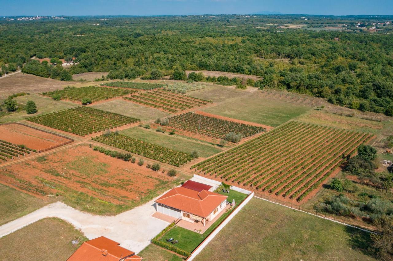 Villa Gracia Sveti Lovreč Pazenatički Bagian luar foto